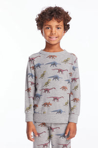 Long Sleeve Grey Sweatshirt - Skeleton Dinos