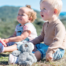 Load image into Gallery viewer, Little Kelly Koala Grey Soft Toy
