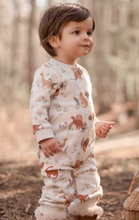 Load image into Gallery viewer, Dinosaur Family Organic Fleece Jumpsuit
